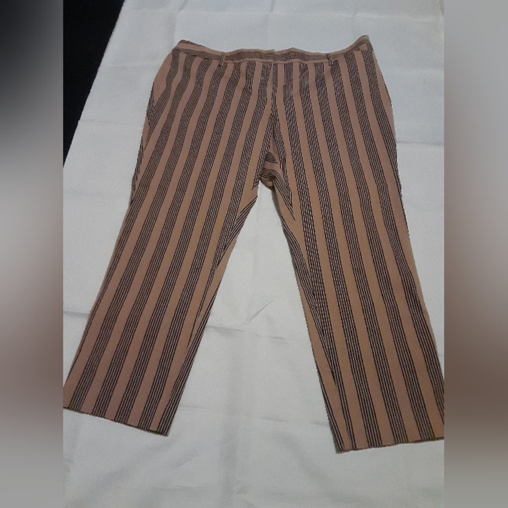 ♥️3/$15 Worthington Size16 Women's Striped Tan and Black Pants